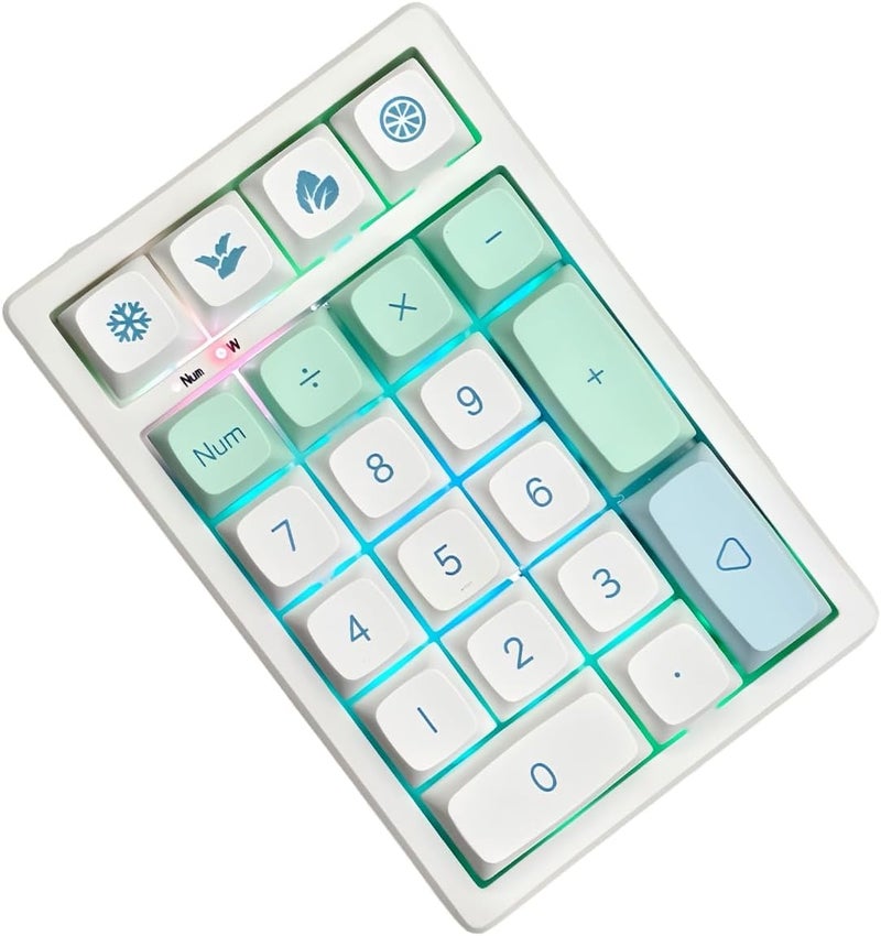 Boyi TD21 Hot Swap Numpad,21 Keys Mini Numpad Portable Keypad Bluetooth5.0/2.4G/Wired Number Pad Keyboard PBT Keycaps RGB Backlit Type-C Mini Keyboard (Mint XDA Keycaps) - Image 1